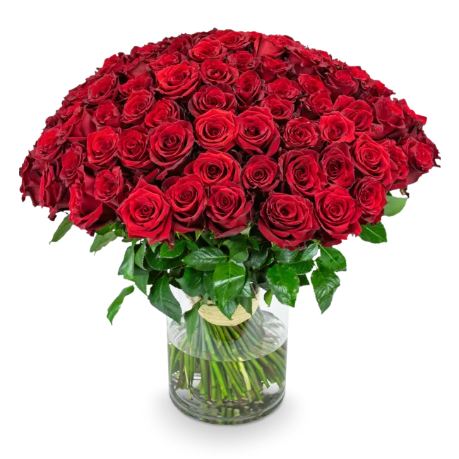 Kytice rudých růží